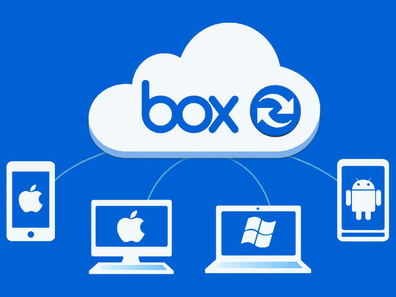 Box cung cấp ba loại t&agrave;i khoản kh&aacute;c nhau d&agrave;nh cho business, enterprise v&agrave; personal hoạt động với Windows, MacOS v&agrave; c&aacute;c ứng dụng d&agrave;nh cho điện thoại